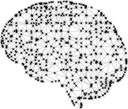 computer user brain